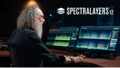 [音频分离工具] Steinberg SpectraLayers Pro v12.0.40-V.R/R2R/U2B [WiN, MacOSX]（4.1GB+3.94GB）