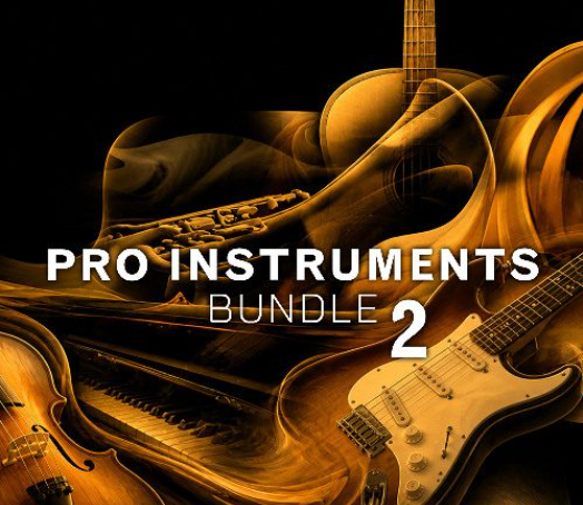 [Steinberg Pro 乐器套装] Steinberg Pro Instruments Bundle 2 [VSTSOUND]（30.95GB）