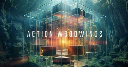[木管乐器合奏音源]Native Instruments Action Woodwinds v1.0.0 [KONTAKT]（20.5Gb）