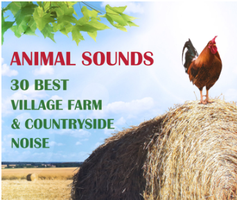 [乡村农场自然动物音效FX素材]Background Music Records Animal Sounds 30 Best Village Farm and Countryside Noise from Europe [FLAC]