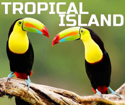 [热带岛屿动物音效FX素材]Cloud Nine Records Tropical Island Animals Sounds [FLAC]