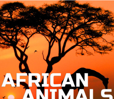 [非洲动物氛围音效FX素材] Animal Planet Soundscapes African Animals Ambience [FLAC]